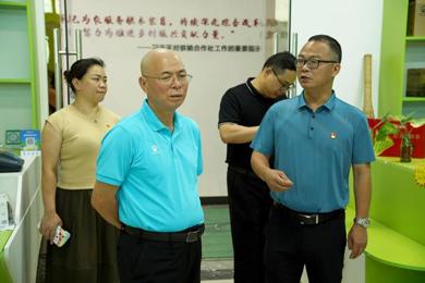 广东岭南职业技术学院全力推动主题教育走深走实