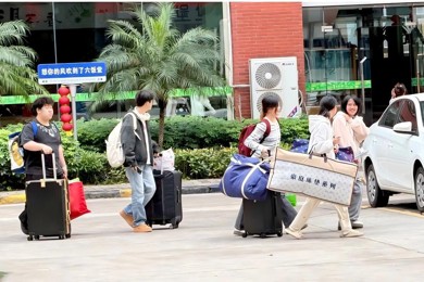 木棉正红，青春正好：华南职业教育集团两校学子共赴春日之约